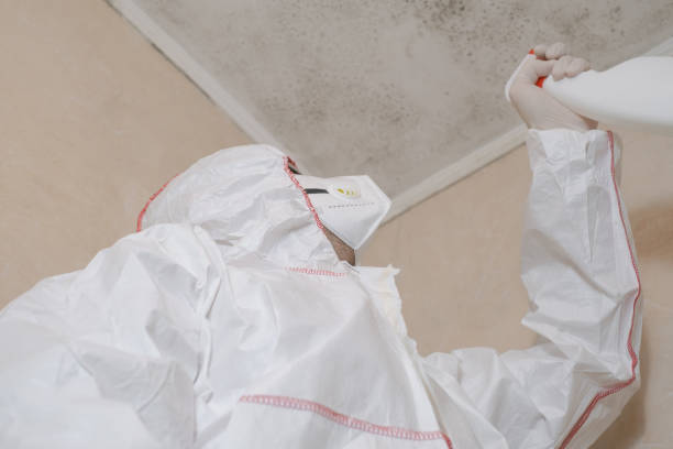 Best Attic Mold Removal  in Lake Clarke Shores, FL